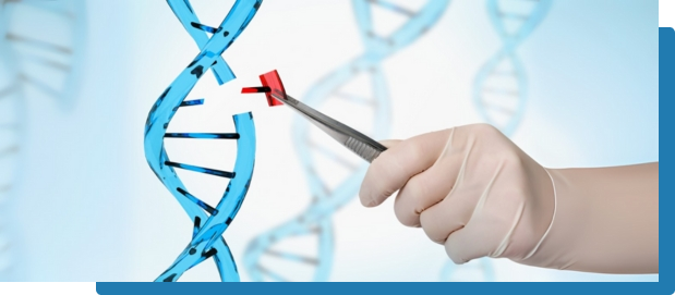 BRCA1 and BRCA2